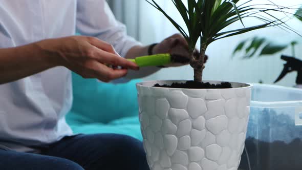 Young Woman Transplants Domestic Flower Into New Pot at Home