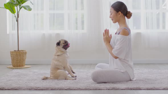 Beautiful Asian woman practice yoga lotus pose with dog pug breed enjoy and relax