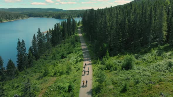 Cyclists Ride Up Beautiful Forest Gravel Road