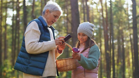 Grandmother and Granddaughter Picking Mushrooms