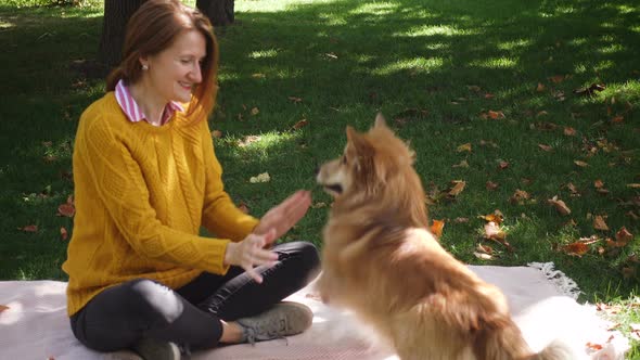 Girl With Corgi Dog Resting At The Park 7