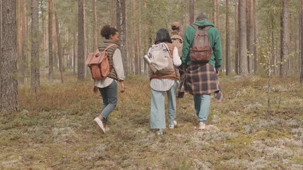 Backs of People with Backpacks Hiking in Forest
