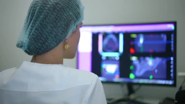 Back View Concentrated Orthodontist Examining 3D Image of Jaw and Teeth on Computer Monitor