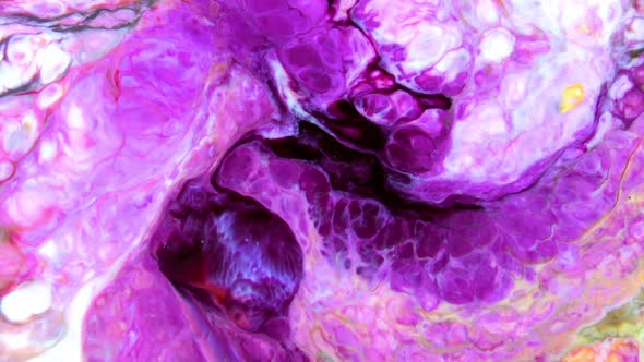 Abstract Organic Cosmic Colorful Texture Background 920 alt