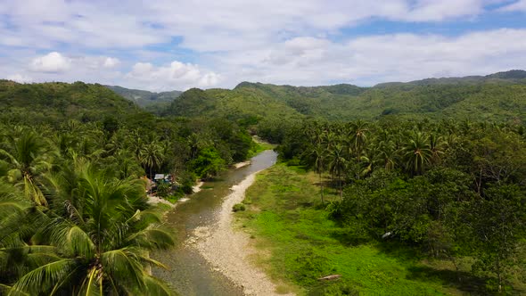 Mountain River on a Tropical Island, Top View