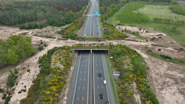 Ecoduct Ecopassage or Animal Bridge Crossing Over the A12 Highway in the Netherlands