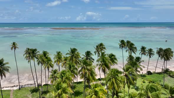 Patacho beach at Sao Miguel dos Milagres Alagoas Brazil.