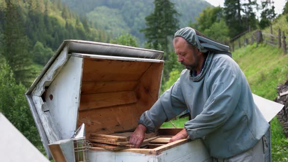Beekeeper Removing Honeycomb From Beehive