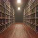 Moving Between University Library Shelves with Lot of Books on Each Shelf - VideoHive Item for Sale