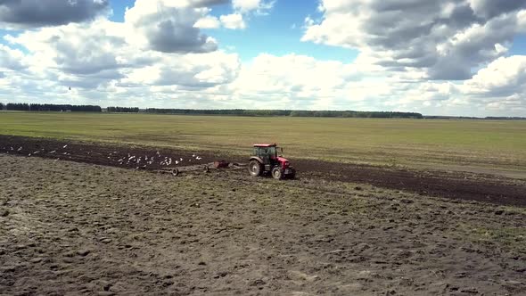 Close View Tractor Plows Field Bird Flock Flies Over Strip