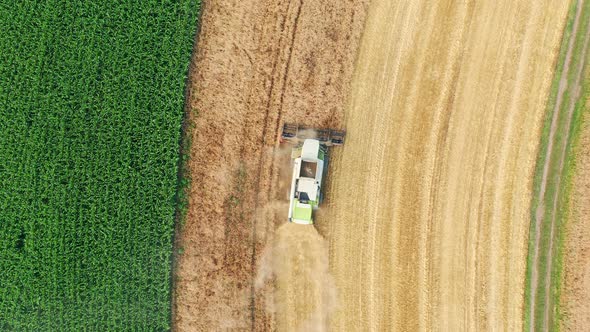 Combines in the Field