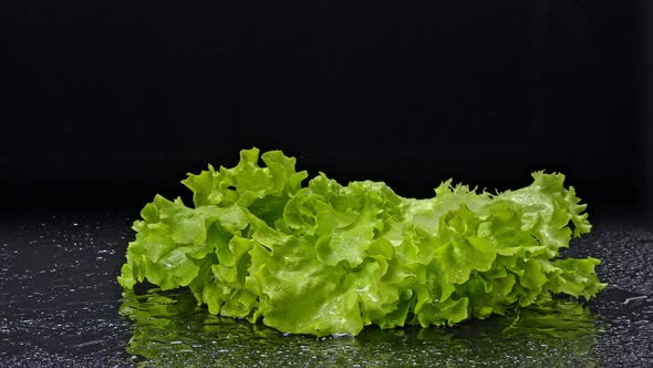 Lettuce Falling On Wet Black Glass