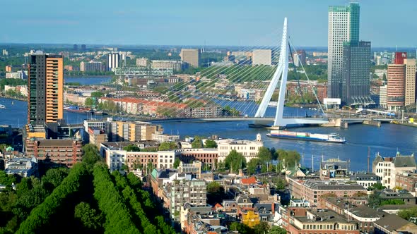 View of Rotterdam City and the Erasmus Bridge Erasmusbrug