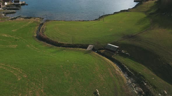 Revealing Shot Of Aardalsfiord In Rogaland County, Norway. aerial tilt-up