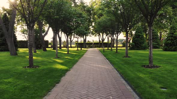 Park Cobblestone Pathway and Trees