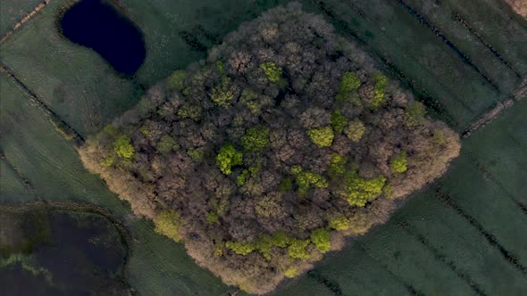 Aerial view of German countryside, Germany.