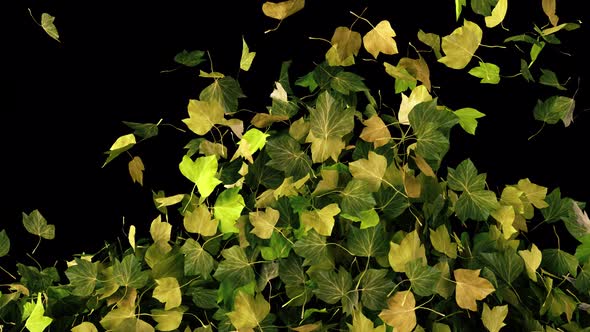 Falling Autumn Leaves alt