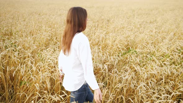 Brunette Woman in a White Shirt and Jeans is Walking on a Field of Ripe Wheat in Slow Motion