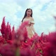 attractive asian female walking  along in beautiful flowers nature farm - VideoHive Item for Sale