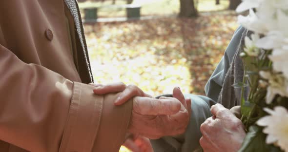 Close Elderly Male Hands Holding Female Elegant Hand in Autumn Park