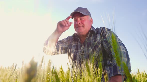 Senior Farmer Adjusting Cap in Wheat Field