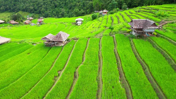 Aerial drone footage of rice terraces and farmer village at Pa pong piang