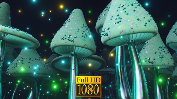 Mushroom Fairy Tale HD