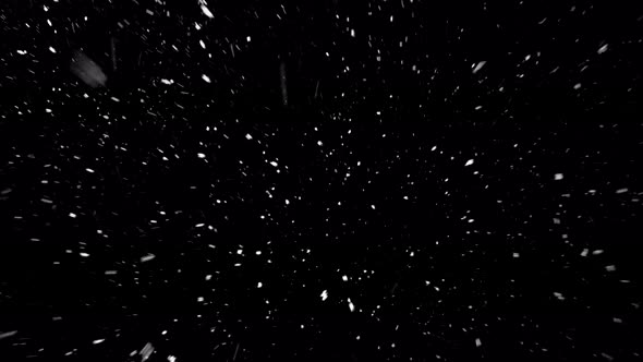 Natural Snow Particles. Black Background