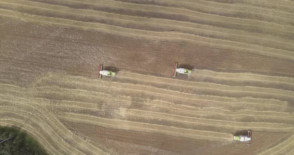 Upper View New Harvesters Gathers Ripe Cereal in Large Field