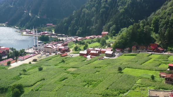 aerial drone flying across farmland in the mountain village of Uzungol Trabzon on a sunny summer day