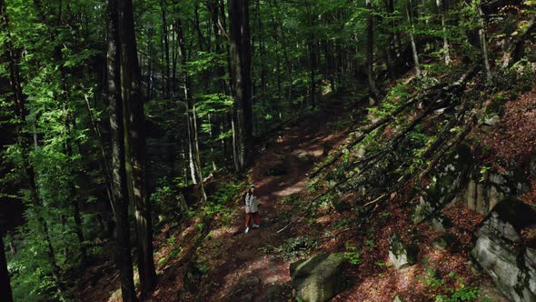 Active Healthy Hipster Girl Hiking in Forest. Aerial