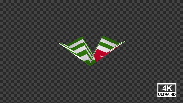 Paper Airplane Of Abkhazia Flag V3