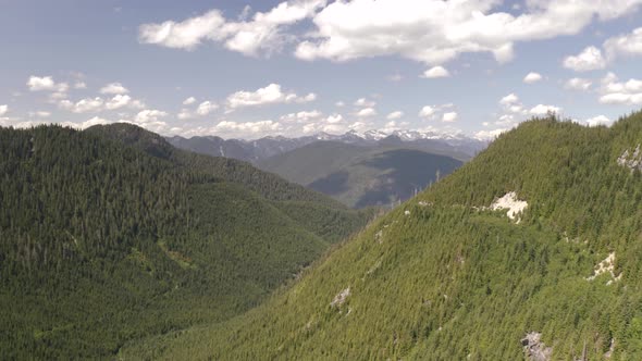 Aerial truck left of verdant hillside covered in dense green pine woods on a cloudy day, mountains i