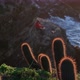  change of focus, man fishing with beautiful sunset light in the middle of the cliff, pichilemu, - VideoHive Item for Sale