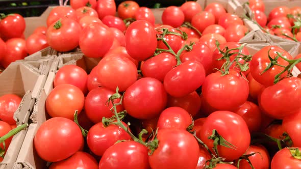 Red Tomatoes in Cardboard Boxes in the Market