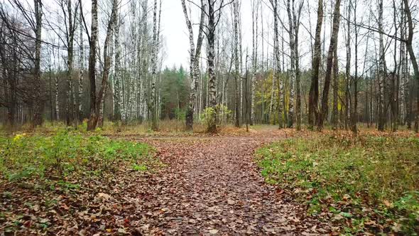 Late Autumn In The Mazurino Park 26