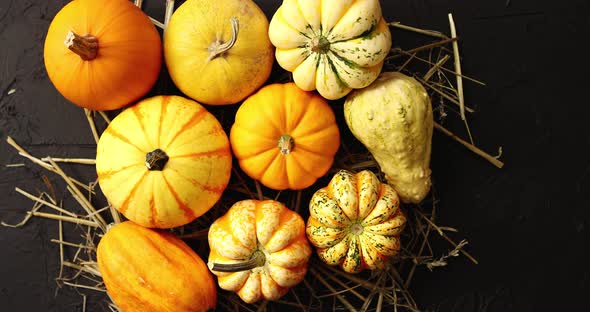 Yellow Pumpkins Laid on Hay