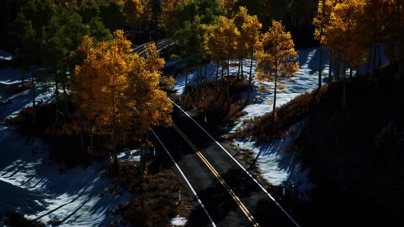 Aerial View of Snowy Forest with a Road