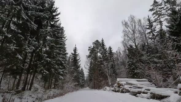 Time lapse video in the forest in Russia in January.