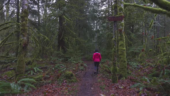 Adventurous Girl Hiking in Canadian Nature