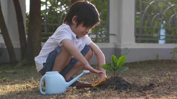 Cute Asian Child Planting Young Tree On The Black Soil