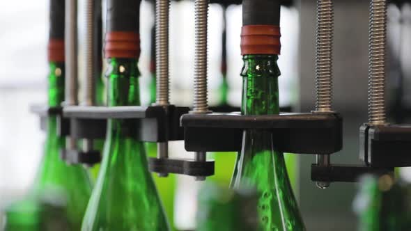 Beer Production. Conveyor Line With Bottles At Brewery Closeup