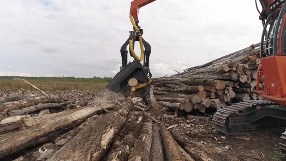 Harvester Cutting Tree Trunk in field near the forest 22