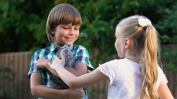 Little Girl Stroking Kitten in Neighbor Boy Hands, Children Making Friends