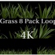Realistic Grass Loop 4K - VideoHive Item for Sale