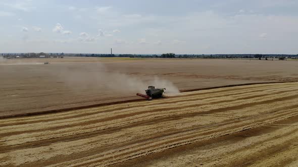 Top View of the Harvester Collects Wheat