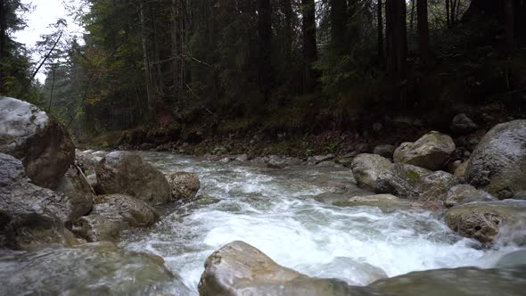 small mountain creek with clear water runs down through forest in alps