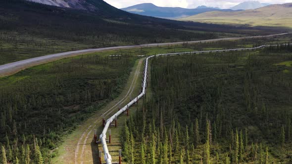 Aerial shot flying over the Trans Alaska Pipeline running through a beautiful green forest with moun