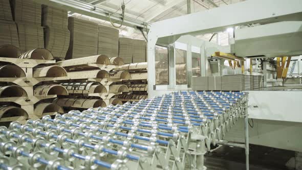 A Working Conveyor in a Paper Mill. Technology. Factory. Kyiv. Ukraine