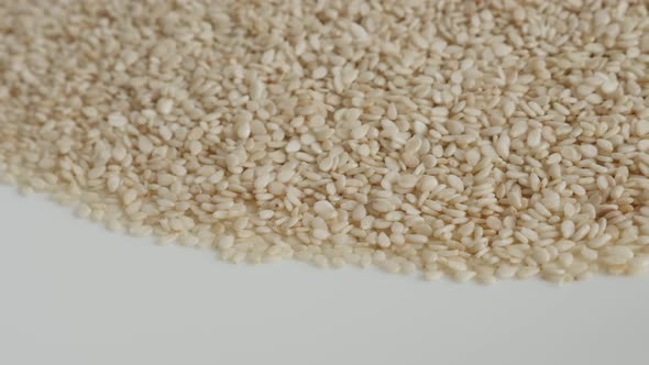 Tiny sesame Sesamum indicum seed  4K panning footage